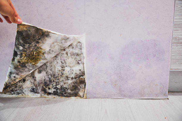 Water Damage Restoration in Decatur, IN
